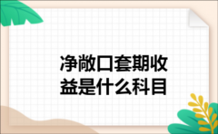 净敞口套期收益是什么科目