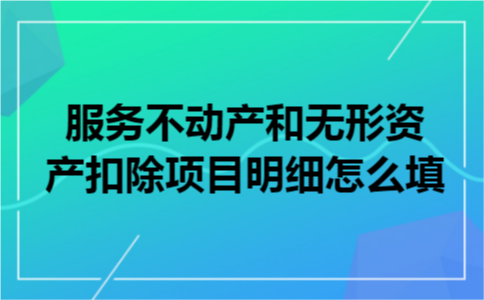 服务不动产和无形资产扣除项目明细怎么填