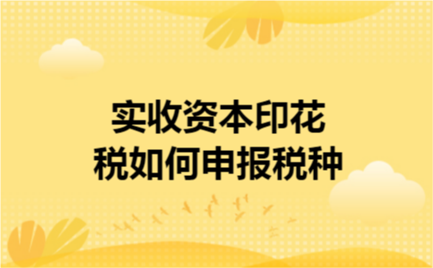 实收资本印花税如何申报税种
