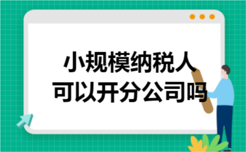 小规模纳税人可以开分公司吗