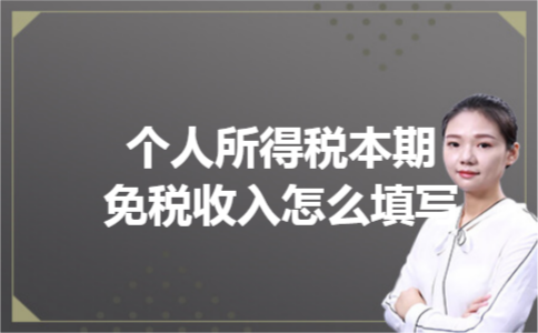 个人所得税本期免税收入怎么填写