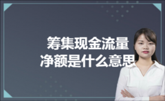 筹集现金流量净额是什么意思