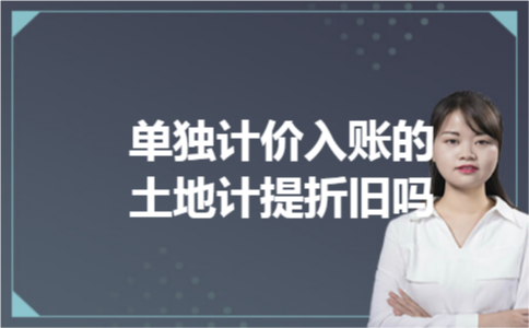 单独计价入账的土地计提折旧吗