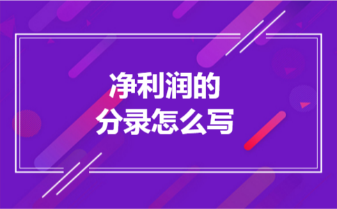  净利润的分录怎么写