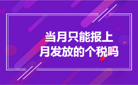 当月只能报上月发放的个税吗