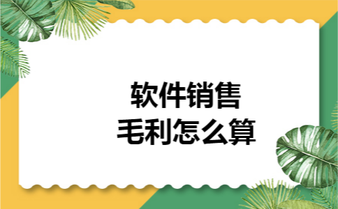 软件销售毛利怎么算