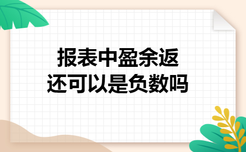 报表中盈余返还可以是负数吗