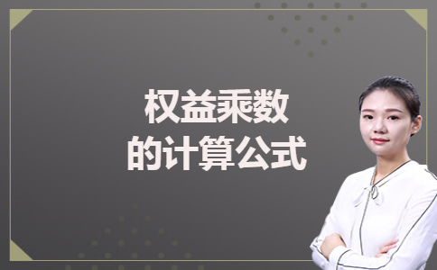 权益乘数的计算公式 权益乘数的计算公式