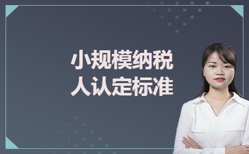 小规模纳税人认定标准