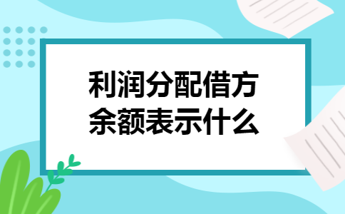 利润分配借方余额表示什么