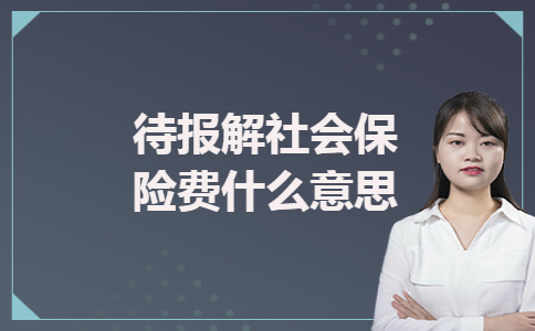待报解社会保险费什么意思