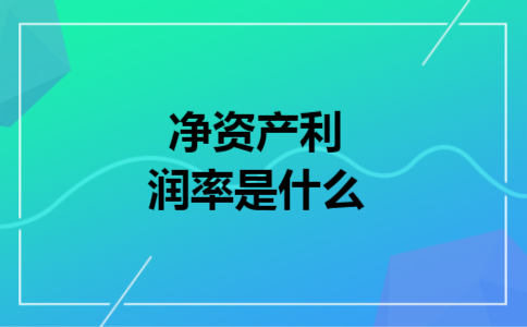 净资产利润率是什么