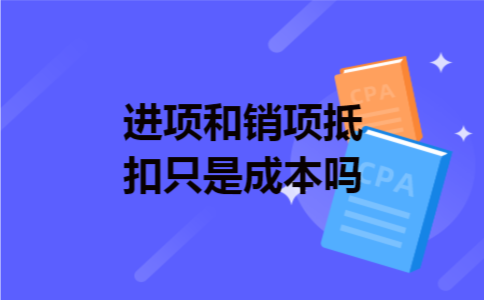 进项和销项抵扣只是成本吗