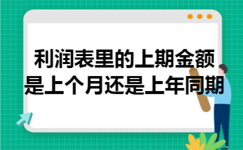 利润表里的上期金额是上个月还是上年同期