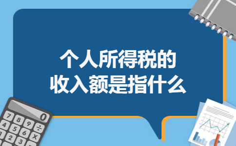 个人所得税的收入额是指什么