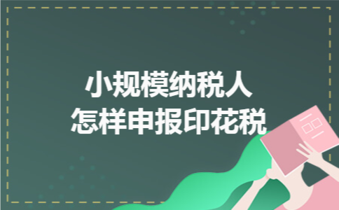 小规模纳税人怎样申报印花税