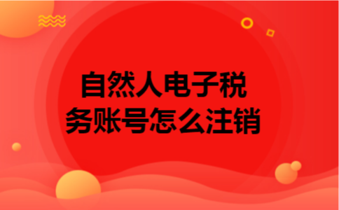 自然人电子税务账号怎么注销