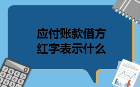 应付账款借方红字表示什么 应付账款借方红字表示什么
