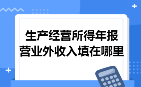  生产经营所得年报营业外收入填在哪里