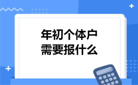 年初个体户需要报什么