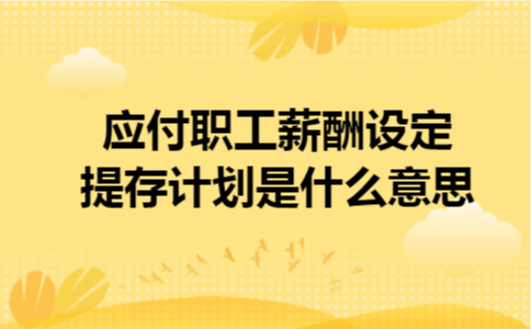 应付职工薪酬设定提存计划是什么意思 应付职工薪酬设定提存计划是什么意思