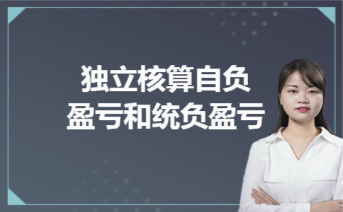 独立核算自负盈亏和统负盈亏
