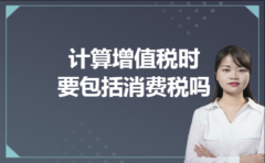 计算增值税时要包括消费税吗