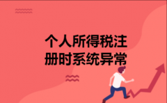 个人所得税注册时系统异常