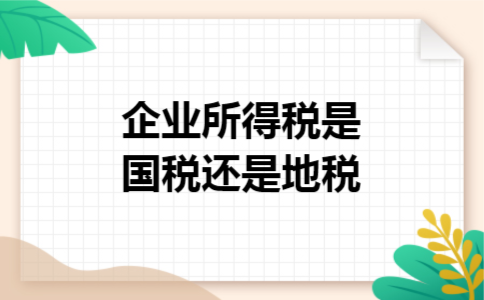 企业所得税是国税还是地税