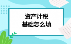 资产计税基础怎么填