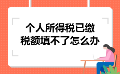 个人所得税已缴税额填不了怎么办