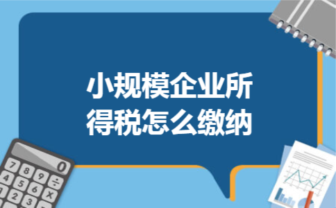 小规模企业所得税怎么缴纳 小规模企业所得税怎么缴纳