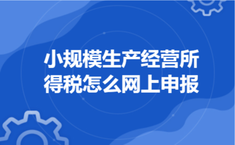 小规模生产经营所得税怎么网上申报