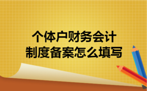 个体户财务会计制度备案怎么填写