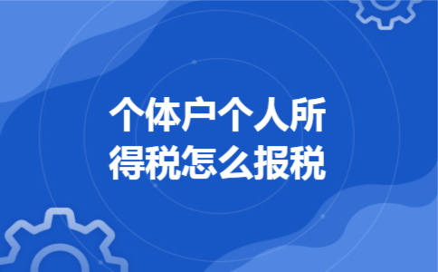 个体户个人所得税怎么报税 个体户个人所得税怎么报税