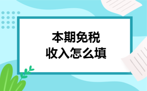 本期免税收入怎么填