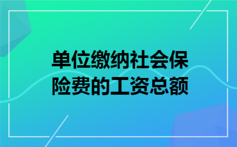 单位缴纳社会保险费的工资总额
