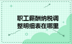  职工薪酬纳税调整明细表在哪里