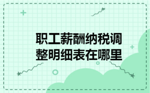  职工薪酬纳税调整明细表在哪里