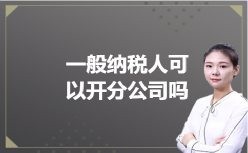 一般纳税人可以开分公司吗