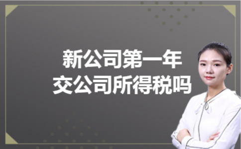 新公司第一年交公司所得税吗