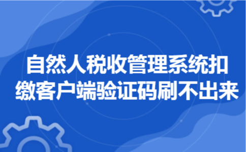  自然人税收管理系统扣缴客户端验证码刷不出来