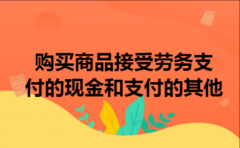 购买商品接受劳务支付的现金和支付的其他