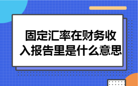 固定汇率在财务收入报告里是什么意思