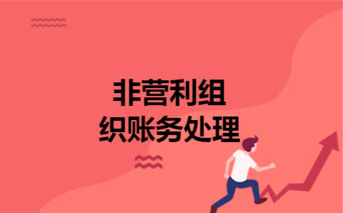  非营利组织账务处理