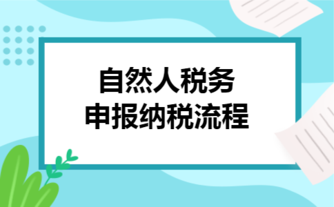 自然人税务申报纳税流程 自然人税务申报纳税流程