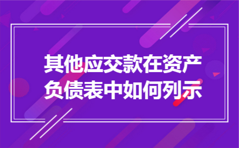 其他应交款在资产负债表中如何列示
