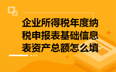 企业所得税年度纳税申报表基础信息表资产总额怎么填