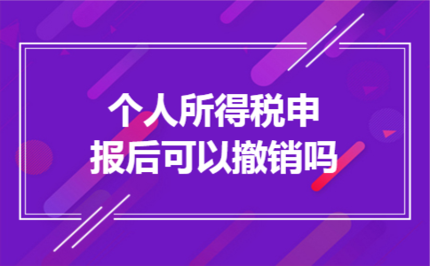 个人所得税申报后可以撤销吗