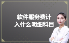  软件服务费计入什么明细科目